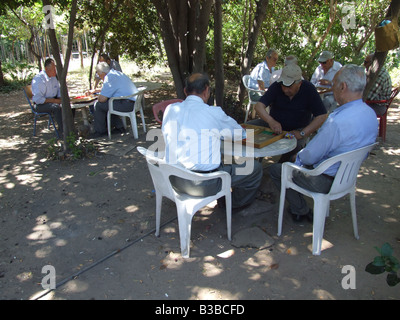 alte Männer spielen Backgammon im Park in Athen Stockfoto