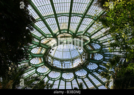 Laeken königlichen Gewächshäuser Wintergarten Kuppel, Brüssel Stockfoto