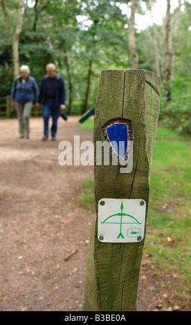 Sherwood Forest Country Park Edwinstowe Mansfield Nottinghamshire England GB UK 2008 Stockfoto