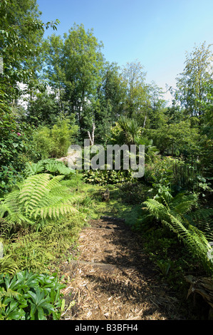 Das Gelände des zündeten Arboretum Gloucestershire Stockfoto