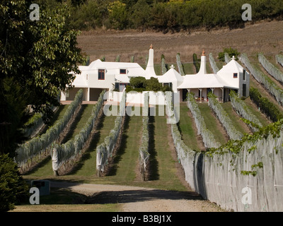 Reihen von Weinreben auf Te Mata Estate Weingut Havelock North Hawkes Bay Neuseeland Stockfoto