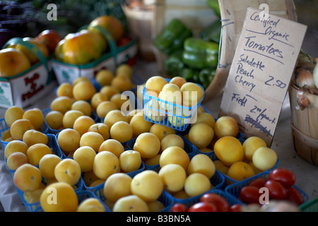 Bio-Tomaten für den Verkauf auf Don Valley Brick Werke Bauernmarkt, Toronto, Ontario, Kanada Stockfoto