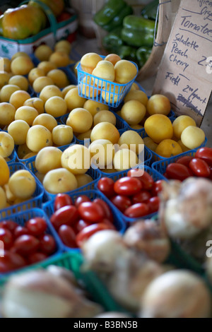 Bio-Tomaten für den Verkauf auf Don Valley Brick Werke Bauernmarkt, Toronto, Ontario, Kanada Stockfoto