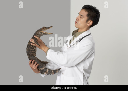 Tierarzt Holding Alligator Stockfoto