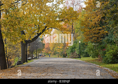 Mont Royal, Montreal, Quebec, Kanada Stockfoto