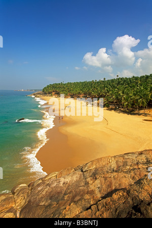 Kokos-Palmen und Strand, Kovalam, Kerala Zustand, Indien, Asien Stockfoto