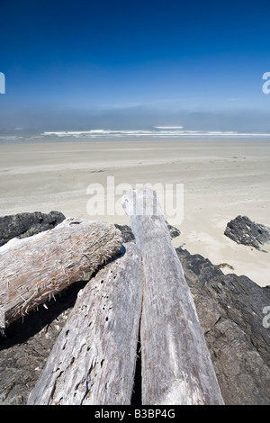 Treibholz am Strand, Long Beach, Pacific Rim National Park, Vancouver ISland, British Columbia, Kanada Stockfoto