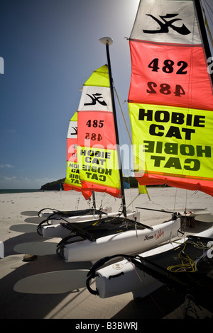 Geben Sie Hobie Cat Katamarane auf der Insel Groix (Frankreich). Voiliers Katamarane de Typ Hobie Cat Sur l'Île de Groix. Stockfoto