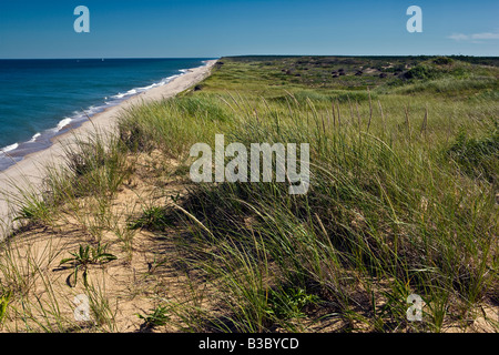 Marconi Beach Gräser Cape Cod Massachusetts Stockfoto