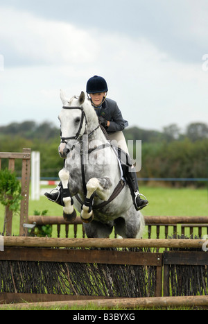 Hunter-Pony springen einen Zaun Stockfoto