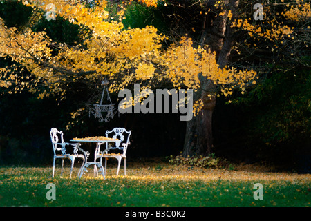 Einem Tisch und Stühlen unter einem Herbst Baum Stockfoto