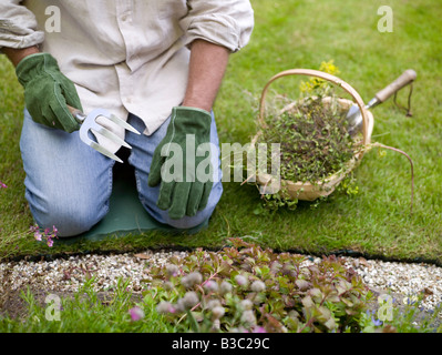 Ein Mann in einem Garten Blumen Pflanzen Stockfoto