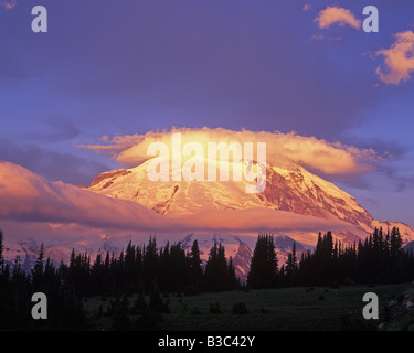Licht des frühen Morgens auf Mt Rainier am Sunrise Point in Mt Rainier-Nationalpark, Washington Stockfoto