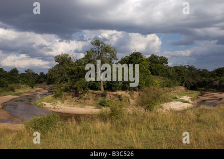 Kenia, Masai Mara National Reserve. Ein Ochse-Bogen biegen Sie in den gewundenen Sand River. Stockfoto