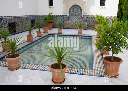 Mosaik gefliesten Pool auf die große Moschee von Paris, La Grande Mosquée de Paris Frankreich Stockfoto