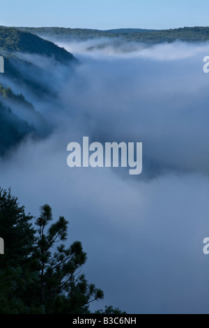 Nebel über Pine Creek Schlucht Grand Canyon of Pennsylvania Aufhebung Stockfoto