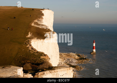 England, East Sussex, Beachy Head. Beachy Head ist eine Kreide Landzunge an der Südküste von England Stockfoto