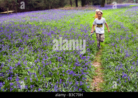 England, Dorset, Thorncombe. Forde Abbey bildet einen Teil der Grenze zwischen Dorset und Somerset Stockfoto