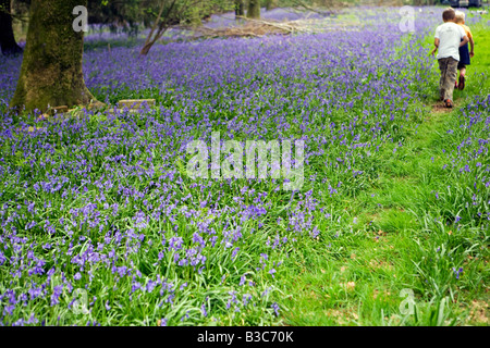 England, Dorset, Thorncombe. Forde Abbey bildet einen Teil der Grenze zwischen Dorset und Somerset Stockfoto