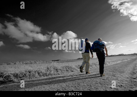 England, West Sussex, South Downs Way. Die 160 km lange folgt "South Downs Way", die alten Routen und Droveways entlang der Böschung Kreide und Grate der South Downs. Der Weg wird durch Wanderer, Radfahrer und Reiter geteilt. Stockfoto