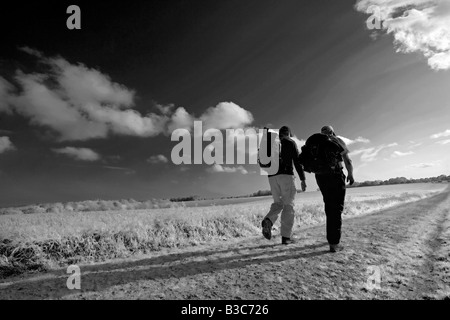 England, West Sussex, South Downs Way. Die 160 km lange folgt "South Downs Way", die alten Routen und Droveways entlang der Böschung Kreide und Grate der South Downs. Der Weg wird durch Wanderer, Radfahrer und Reiter geteilt. Stockfoto