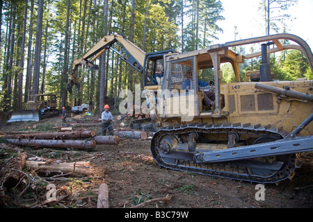 Protokollierung der Redwoods in Nordkalifornien Stockfoto