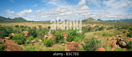 Kenia, Tsavo West Nationalpark. Typische Landschaft im Tsavo West Nationalpark. Die Zapfen bezeichnen die vulkanische Aktivität gab Stockfoto