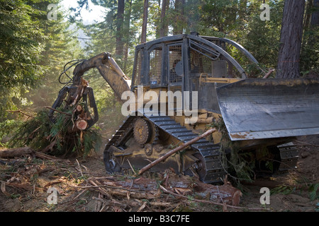 Protokollierung der Redwoods in Nordkalifornien Stockfoto