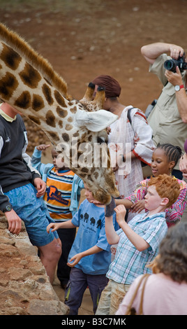 Kenia, Nairobi, Langata Giraffe Centre. Ein kleiner Junge füttert eines netzförmigen Giraffen, die von anderen Touristen beobachtet. Stockfoto