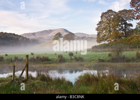 Der Fluß Brathay nebliger Morgen im Lake District Stockfoto