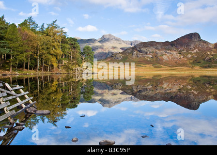 Reflexionen über Blea Tarn im Lake District Stockfoto