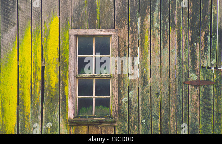 IDAHO Landwirtschaft Palouse Region strukturiert alte verwitterte Scheune und Fenster Fenster auf Hof Stockfoto