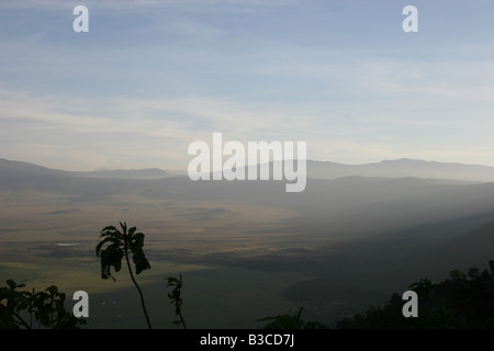 Blick auf den Ngorongoro Krater, Tansania Stockfoto