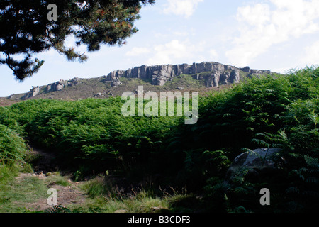 Blick auf die Simonside Gratwanderung, Northumberland, UK Stockfoto