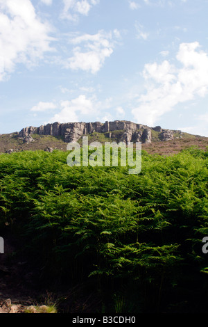 Blick auf die Simonside Gratwanderung, Northumberland, UK Stockfoto