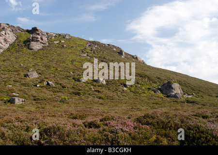 Blick auf die Simonside Gratwanderung, Northumberland, UK Stockfoto