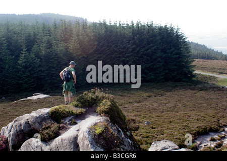 Mann, die Vermessung der Heidekraut Moorlandschaft entlang des Weges Simonside, Northumberland, UK Stockfoto