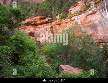 Klippe über dem unteren Emerald Pool, Zion Nationalpark, Utah Stockfoto