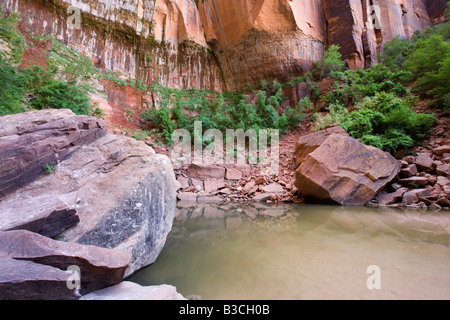 Oberen Emerald Pool, Zion Nationalpark, Utah Stockfoto