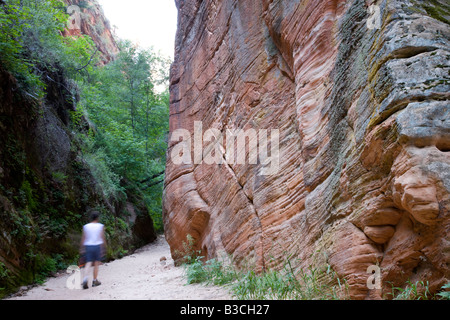 Wanderer im Hidden Canyon, Zion Nationalpark, Utah Stockfoto