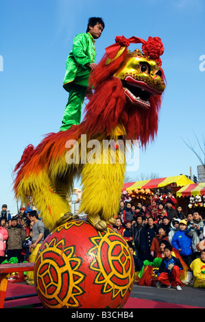 China, Peking. Beiputuo Tempel und Film Studio. Chinesische Neujahr Frühlingsfest - Tanz Löwe Interpreten. Stockfoto