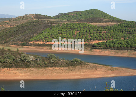 landschaftlich in den Stausee Barragem de da Bravour mit Pinetree Holz Algarve Portugal Stockfoto