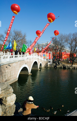 China, Peking. Chinesische neue Jahr Frühlingsfest - ein Mädchen, das Füttern der Enten auf einem See mit einem Ballon dekoriert-Brücke bei Longtanhu Stockfoto