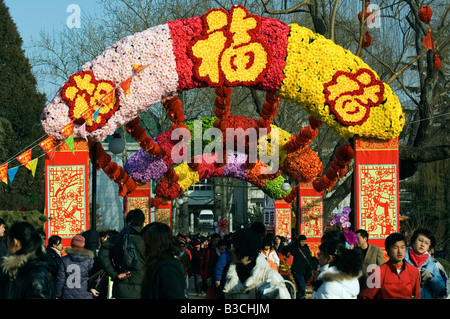 China, Peking. Chinesische neue Jahr Frühling Festival - Blume Longtanhu Park Messe. Stockfoto
