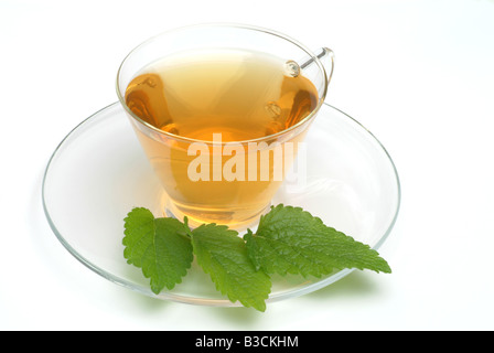 medizinischer Tee gemacht, der Balsam Zitronenmelisse süße frische Melissenblätter und eine Tasse Tee Kraut Heilpflanze Citronella Melissa Vera te Stockfoto