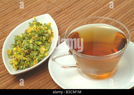 medizinischer Tee Herbtea gemacht von Verbascum Nigrum Verbasco Stockfoto