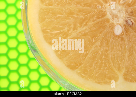 Frische reife Saftig geschnitten Gesunde weisse Frühstück Grapefruit mit Keine Personen Stockfoto