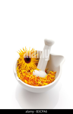 Ringelblumenblüten (Calendula Officinalis) im Mörser mit Stößel, erhöhten Blick Stockfoto