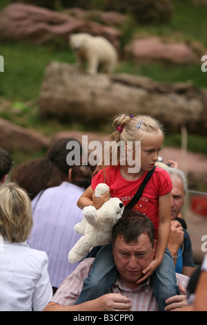 Junge Besucher betrachten Flocke (Schneeflocke) Polar Bear Cub genießen in ihr Gehege im Zoo Nürnberg Stockfoto