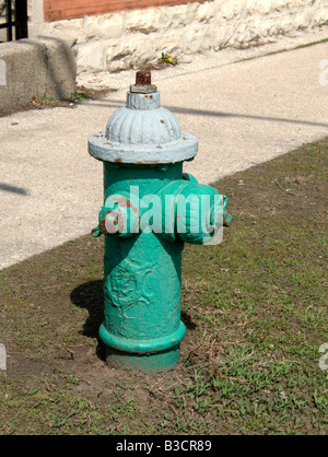 Hydranten. Oak Park. Cook County. Illinois. USA Stockfoto